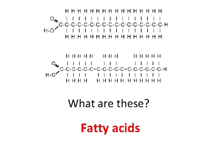 What are these? Fatty acids 