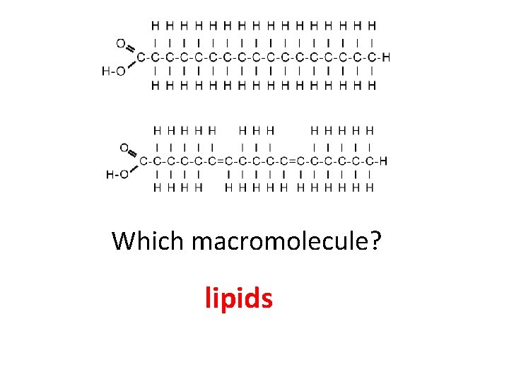 Which macromolecule? lipids 