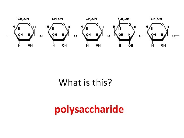 What is this? polysaccharide 