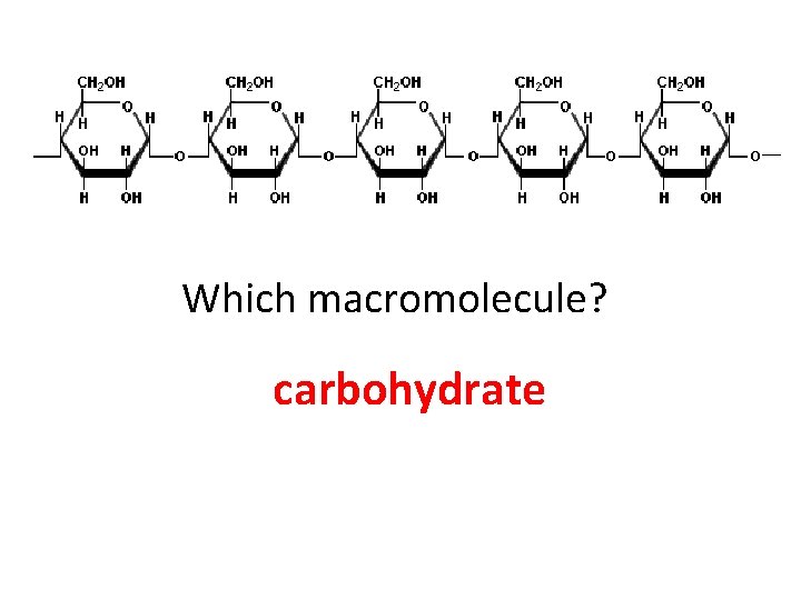 Which macromolecule? carbohydrate 