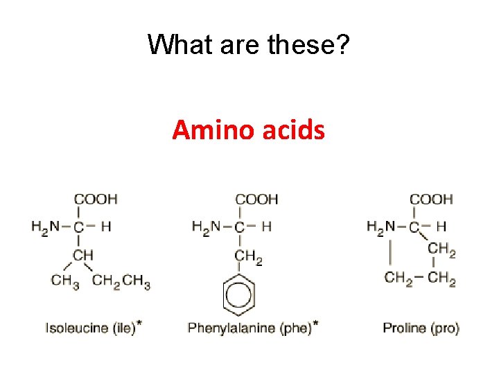 What are these? Amino acids 