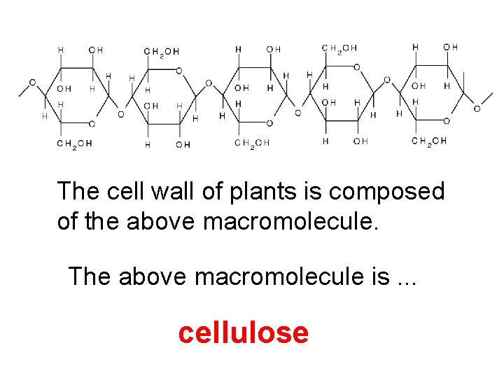 The cell wall of plants is composed of the above macromolecule. The above macromolecule