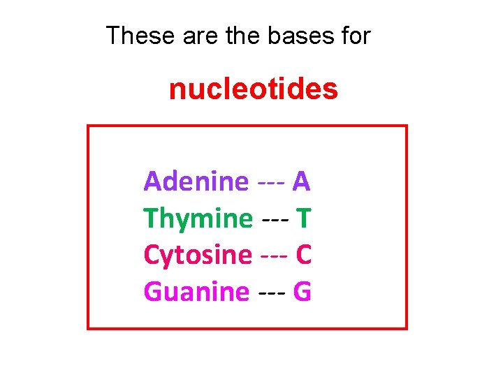 These are the bases for nucleotides Adenine --- A Thymine --- T Cytosine ---