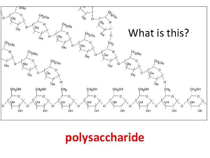 What is this? polysaccharide 