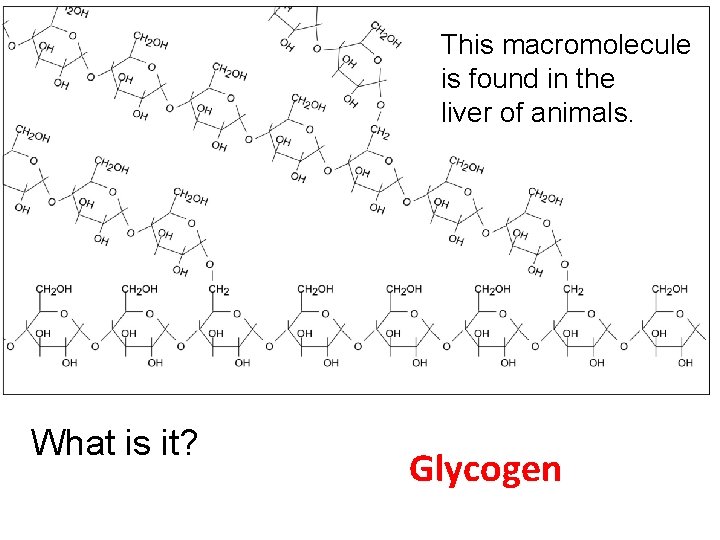 This macromolecule is found in the liver of animals. What is it? Glycogen 