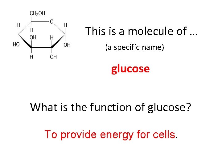 This is a molecule of … (a specific name) glucose What is the function