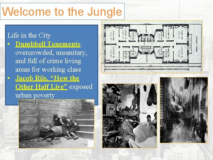 Welcome to the Jungle Life in the City • Dumbbell Tenements: overcrowded, unsanitary, and