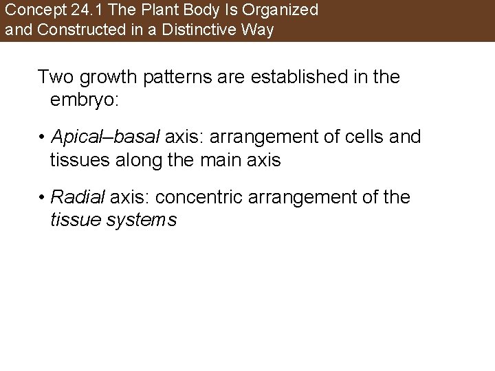 Concept 24. 1 The Plant Body Is Organized and Constructed in a Distinctive Way