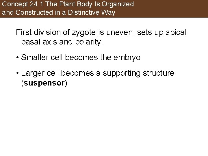 Concept 24. 1 The Plant Body Is Organized and Constructed in a Distinctive Way