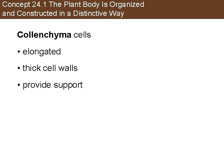 Concept 24. 1 The Plant Body Is Organized and Constructed in a Distinctive Way