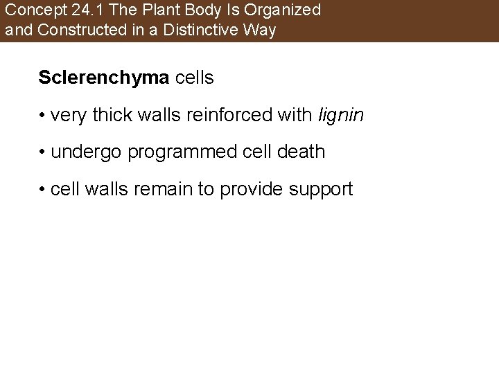 Concept 24. 1 The Plant Body Is Organized and Constructed in a Distinctive Way
