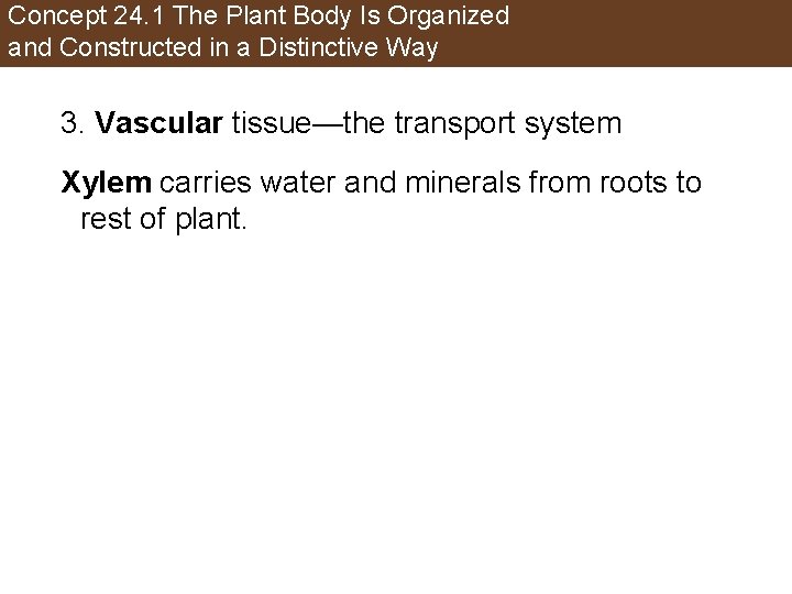 Concept 24. 1 The Plant Body Is Organized and Constructed in a Distinctive Way