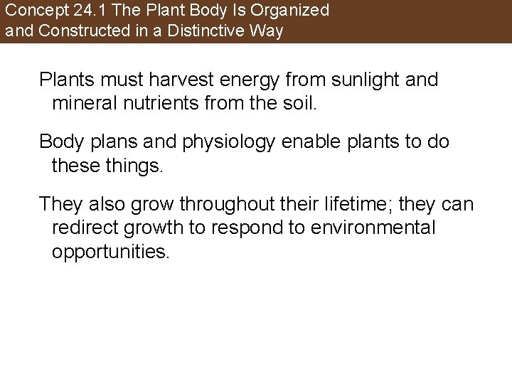 Concept 24. 1 The Plant Body Is Organized and Constructed in a Distinctive Way