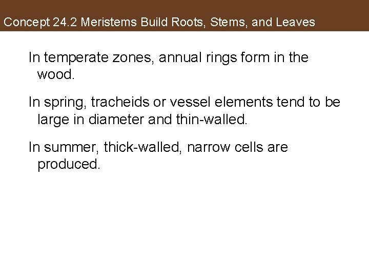 Concept 24. 2 Meristems Build Roots, Stems, and Leaves In temperate zones, annual rings