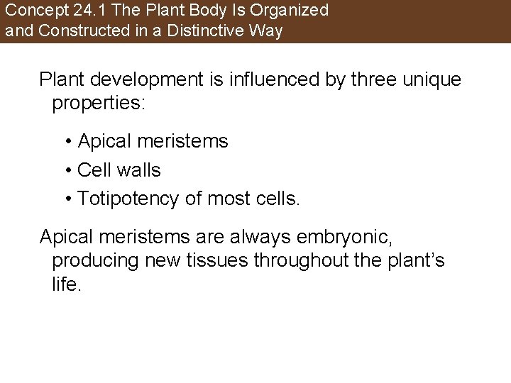 Concept 24. 1 The Plant Body Is Organized and Constructed in a Distinctive Way