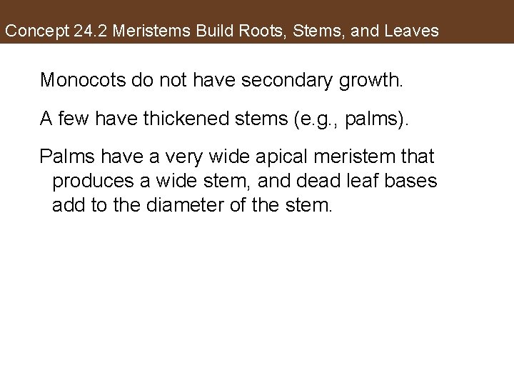 Concept 24. 2 Meristems Build Roots, Stems, and Leaves Monocots do not have secondary