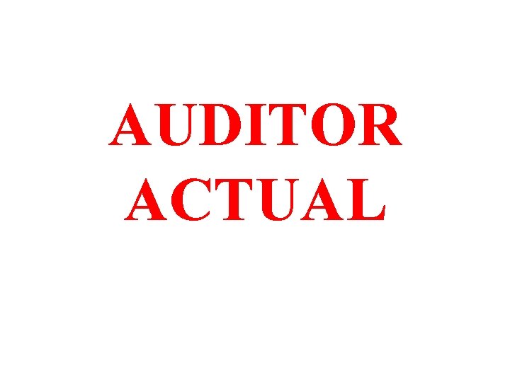 AUDITOR ACTUAL 