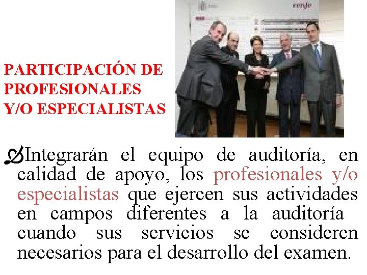 PARTICIPACIÓN DE PROFESIONALES Y/O ESPECIALISTAS Integrarán el equipo de auditoría, en calidad de apoyo,