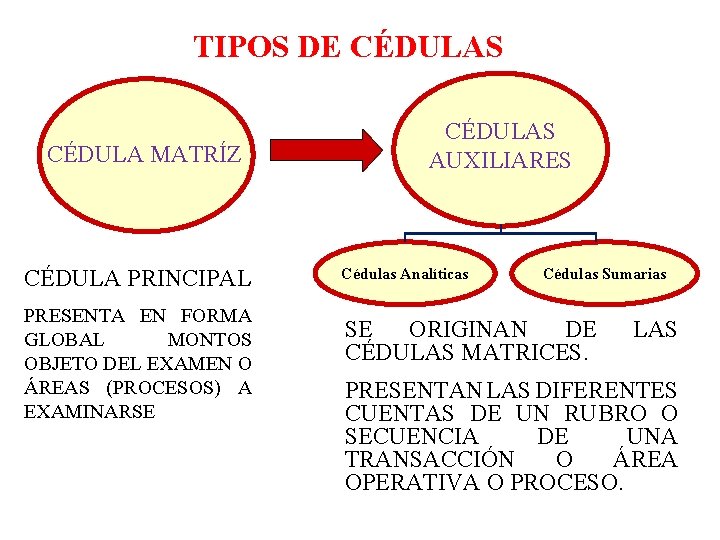 TIPOS DE CÉDULAS CÉDULA MATRÍZ CÉDULA PRINCIPAL PRESENTA EN FORMA GLOBAL MONTOS OBJETO DEL