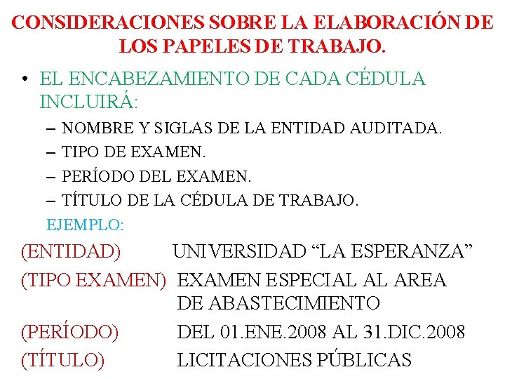 CONSIDERACIONES SOBRE LA ELABORACIÓN DE LOS PAPELES DE TRABAJO. • EL ENCABEZAMIENTO DE CADA