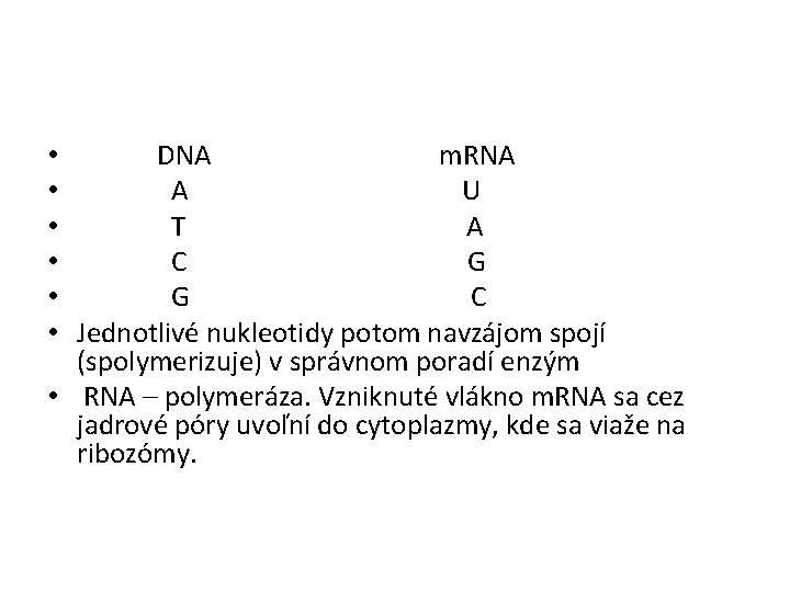  DNA m. RNA U T A C G C Jednotlivé nukleotidy potom navzájom