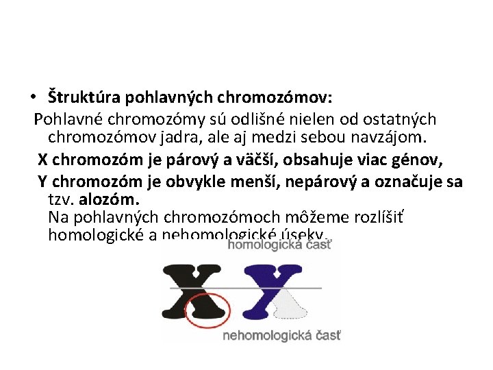  • Štruktúra pohlavných chromozómov: Pohlavné chromozómy sú odlišné nielen od ostatných chromozómov jadra,