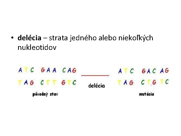  • delécia – strata jedného alebo niekoľkých nukleotidov 