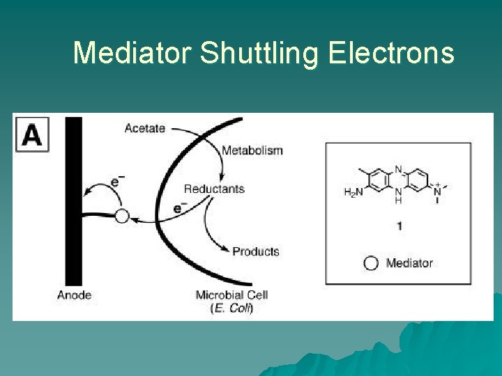 Mediator Shuttling Electrons 