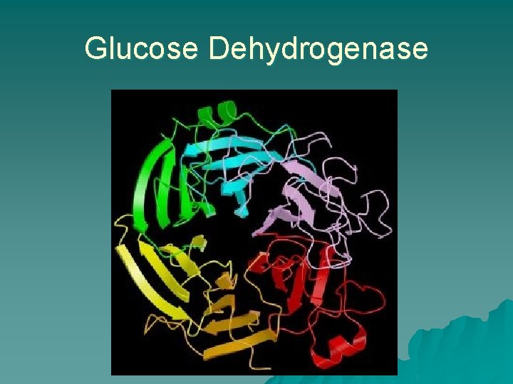Glucose Dehydrogenase 