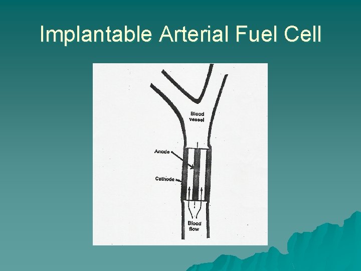 Implantable Arterial Fuel Cell 