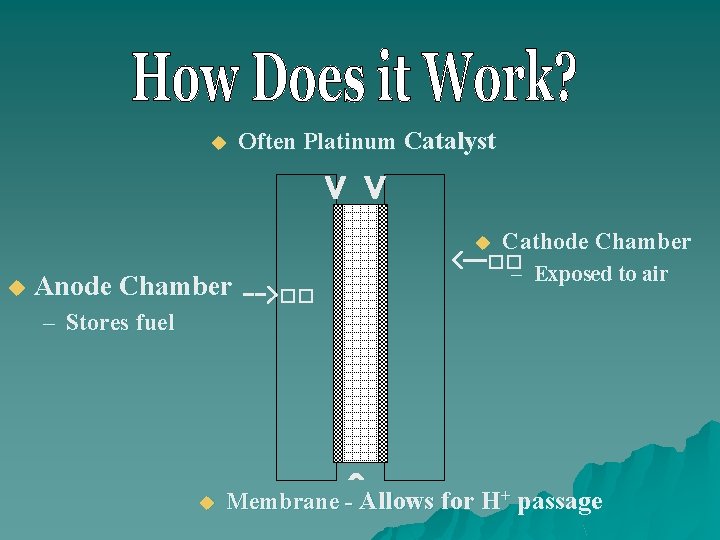 u Often Platinum Catalyst V V u Anode Chamber -->�� u Cathode Chamber <--��