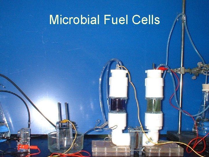 Microbial Fuel Cells 