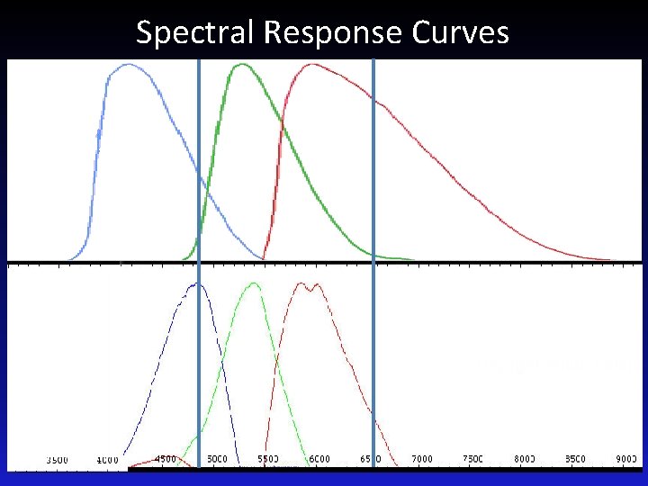 Spectral Response Curves BVRc H-beta H-alpha DSLR 