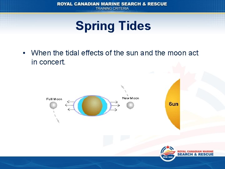 Spring Tides • When the tidal effects of the sun and the moon act