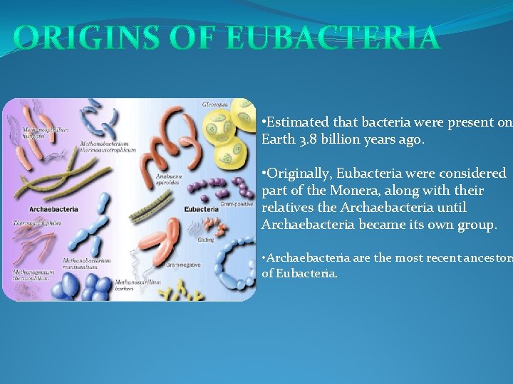  • Estimated that bacteria were present on Earth 3. 8 billion years ago.