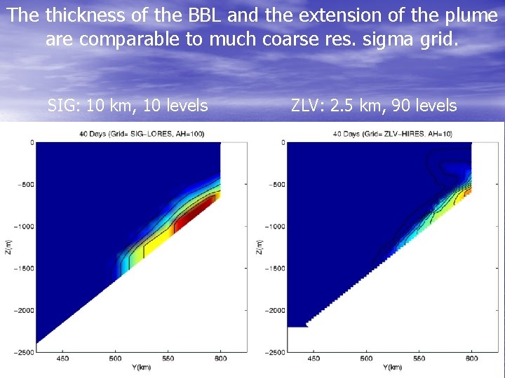 The thickness of the BBL and the extension of the plume are comparable to