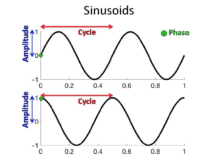Sinusoids 