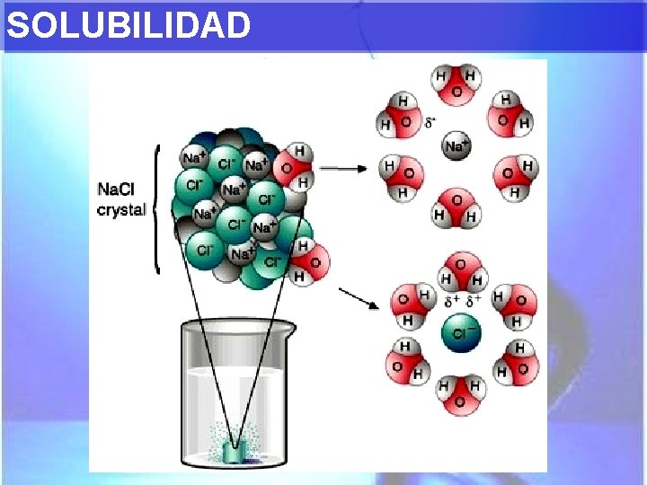 SOLUBILIDAD 