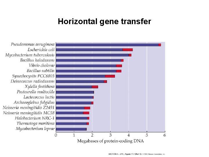 Horizontal gene transfer Horizontal gene transfer