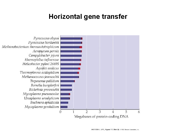 Horizontal gene transfer 