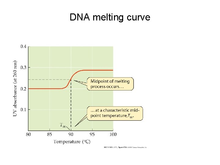 DNA melting curve DNA melting curve