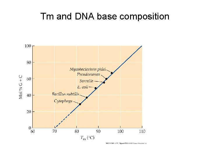 Tm and DNA base composition 