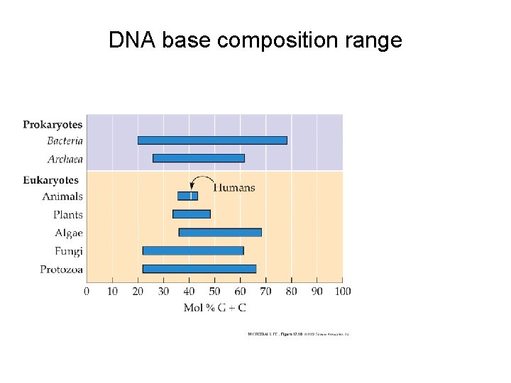 DNA base composition range 