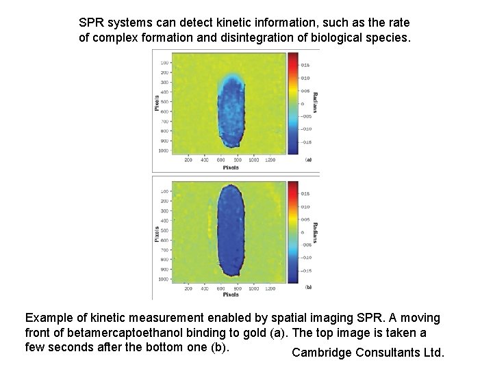 SPR systems can detect kinetic information, such as the rate of complex formation and