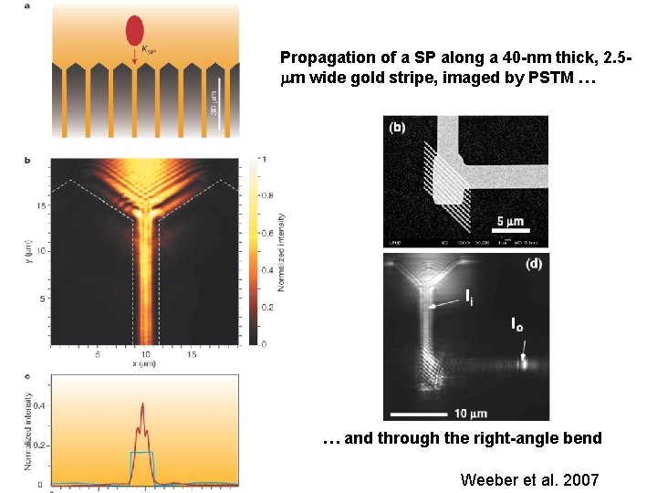 Propagation of a SP along a 40 -nm thick, 2. 5 m wide gold