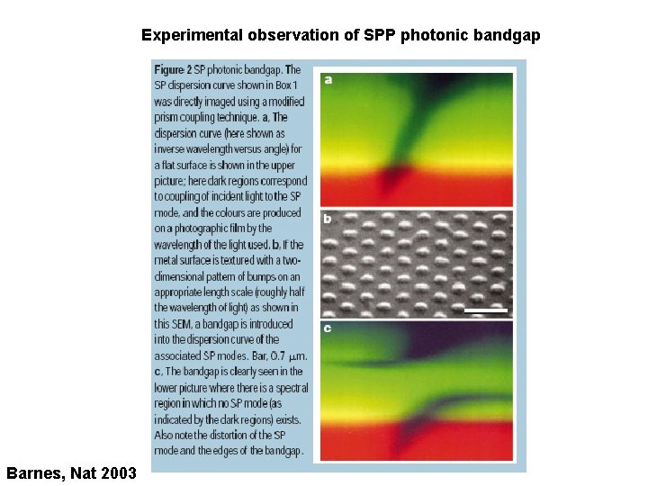 Experimental observation of SPP photonic bandgap Barnes, Nat 2003 