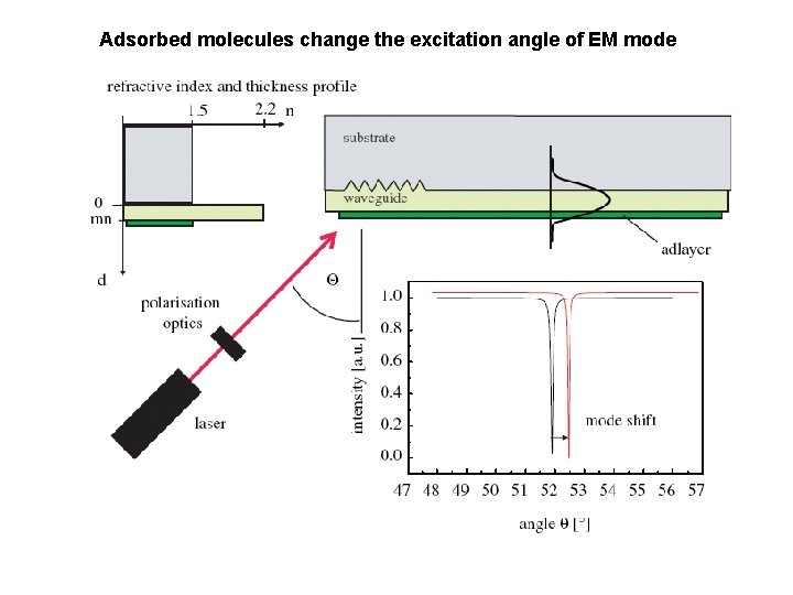 Adsorbed molecules change the excitation angle of EM mode 