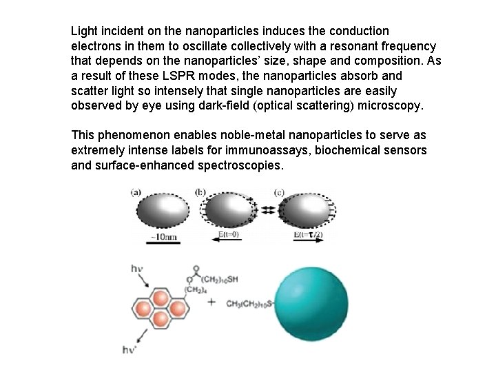 Light incident on the nanoparticles induces the conduction electrons in them to oscillate collectively