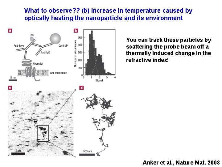 What to observe? ? (b) increase in temperature caused by optically heating the nanoparticle
