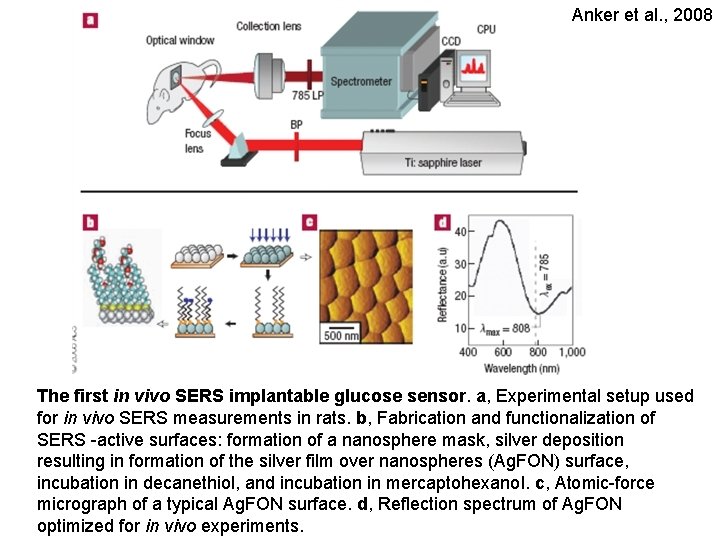 Anker et al. , 2008 The first in vivo SERS implantable glucose sensor. a,